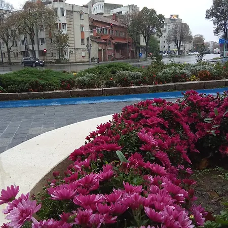 1br Budget Near Konstanca
